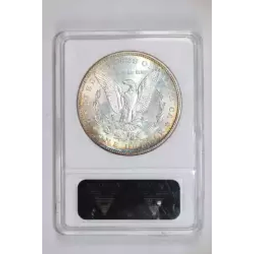 Morgan Silver Dollar (2)