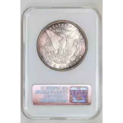 Morgan Silver Dollar (2)