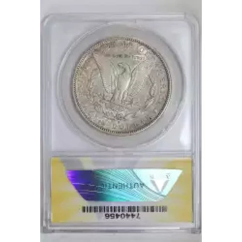 Morgan Silver Dollar (2)