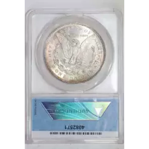 Morgan Silver Dollar (2)