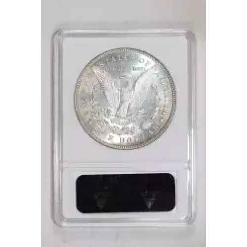 Morgan Silver Dollar