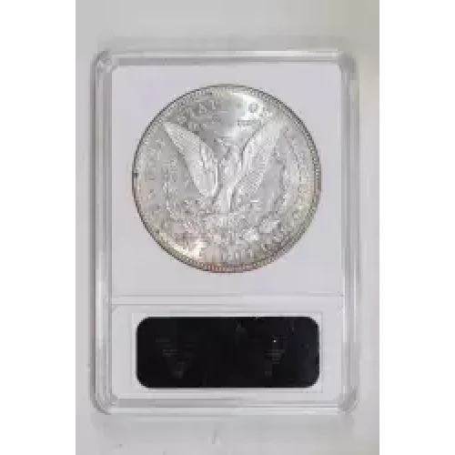 Morgan Silver Dollar (2)