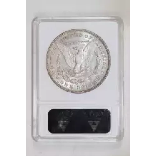 Morgan Silver Dollar