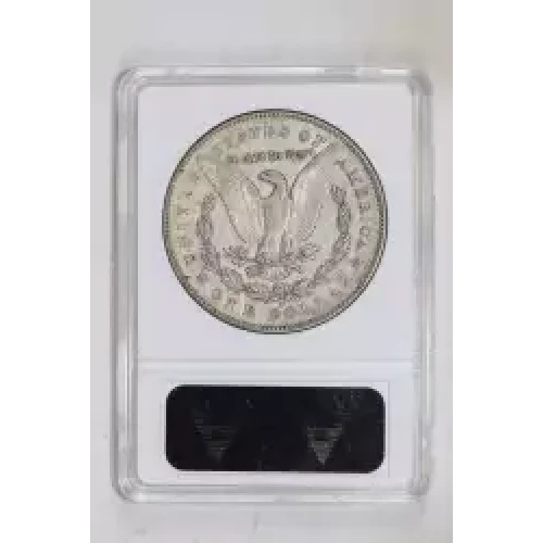 Morgan Silver Dollar