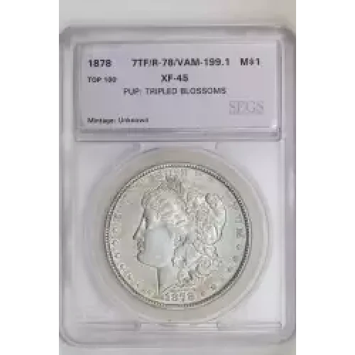 Morgan Silver Dollar