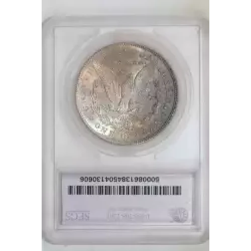 Morgan Silver Dollar