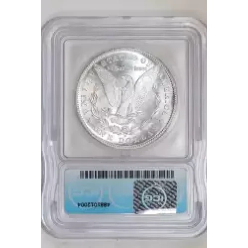 Morgan Silver Dollar