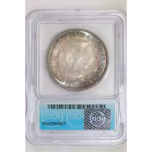 Morgan Silver Dollar (2)