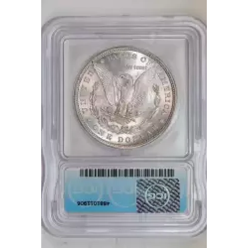 Morgan Silver Dollar (2)