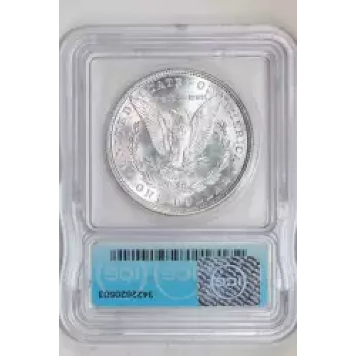Morgan Silver Dollar (2)