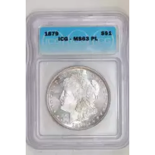 Morgan Silver Dollar