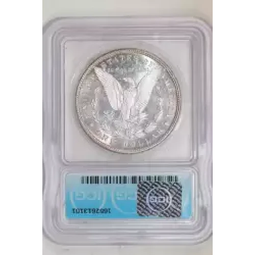 Morgan Silver Dollar (2)