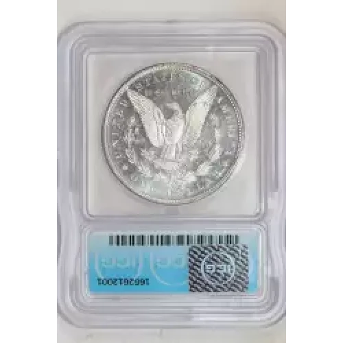 Morgan Silver Dollar (2)