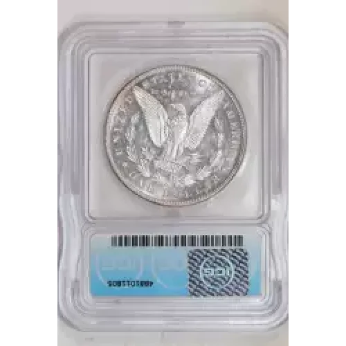 Morgan Silver Dollar (2)
