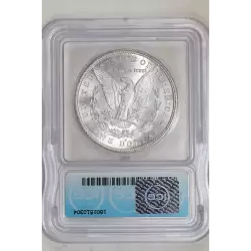 Morgan Silver Dollar (2)