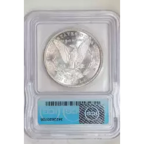 Morgan Silver Dollar (2)