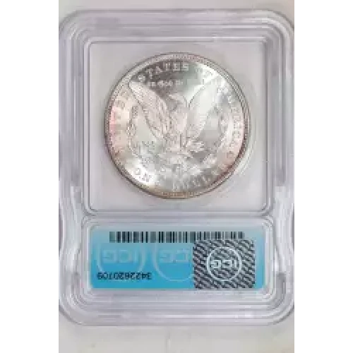 Morgan Silver Dollar (2)