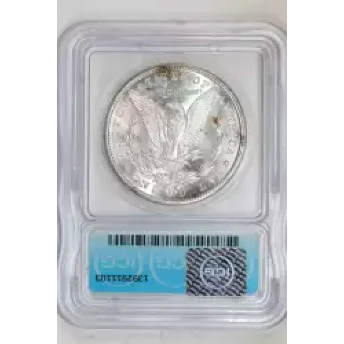 Morgan Silver Dollar (2)