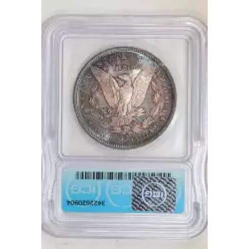 Morgan Silver Dollar