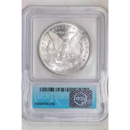 Morgan Silver Dollar (2)