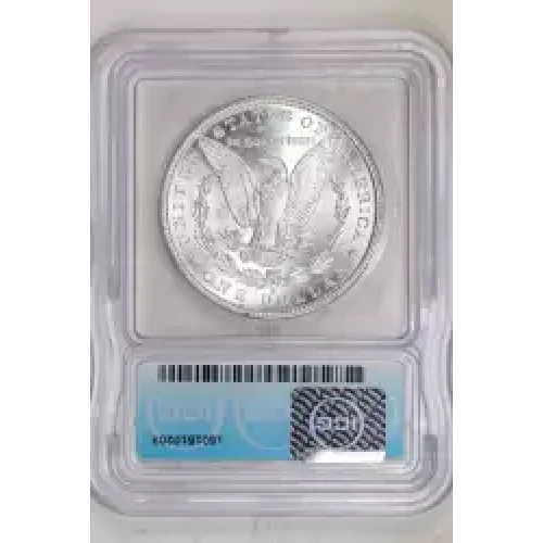 Morgan Silver Dollar (2)