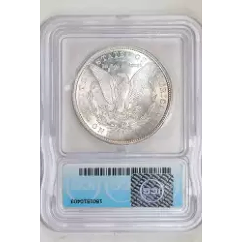 Morgan Silver Dollar (2)