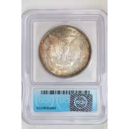 Morgan Silver Dollar (2)