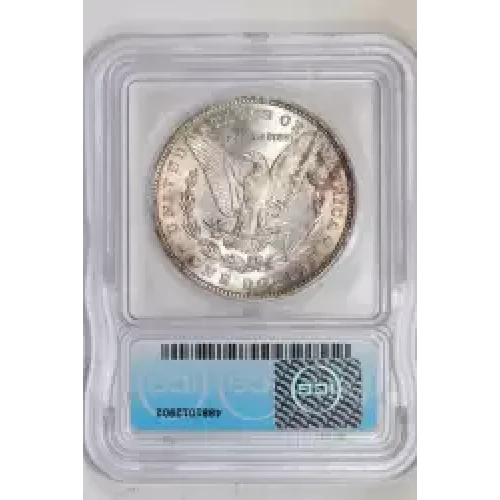 Morgan Silver Dollar (2)