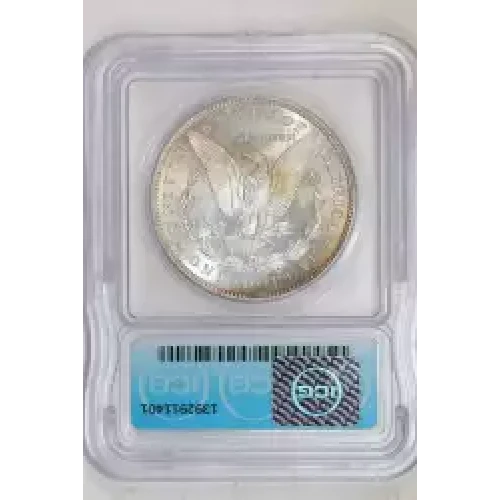 Morgan Silver Dollar (2)