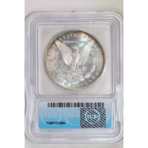 Morgan Silver Dollar (2)
