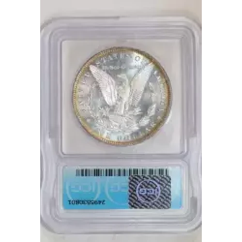 Morgan Silver Dollar (2)