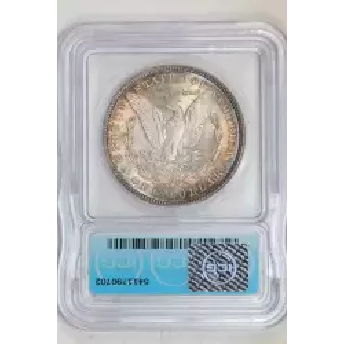 Morgan Silver Dollar (2)
