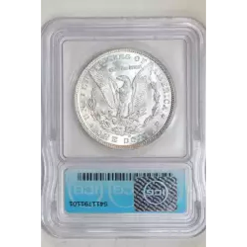Morgan Silver Dollar (2)