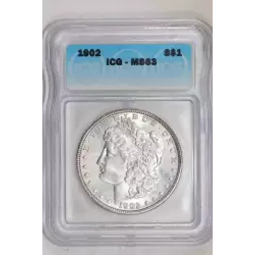 Morgan Silver Dollar