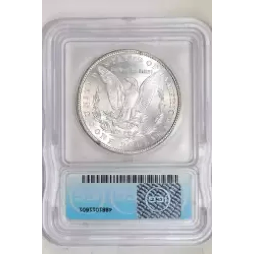 Morgan Silver Dollar (2)