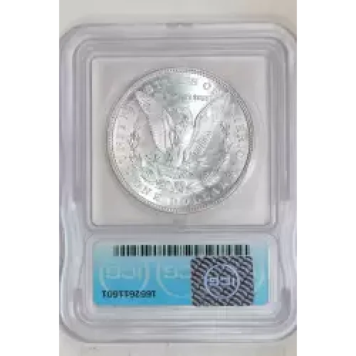 Morgan Silver Dollar (2)