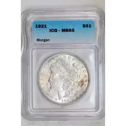Morgan Silver Dollar