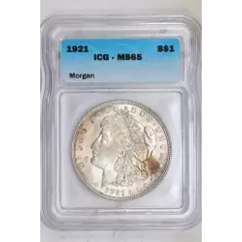 Morgan Silver Dollar