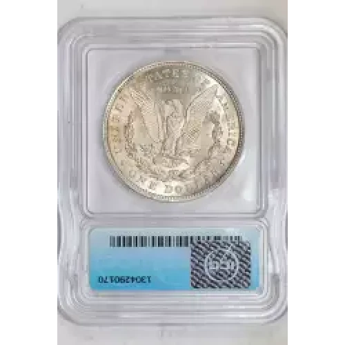 Morgan Silver Dollar (2)