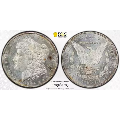 Morgan Silver Dollar (2)