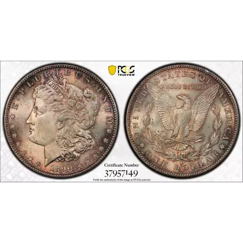Morgan Silver Dollar (2)