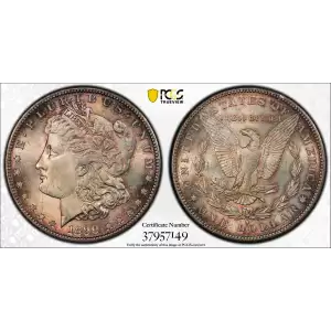 Morgan Silver Dollar (2)