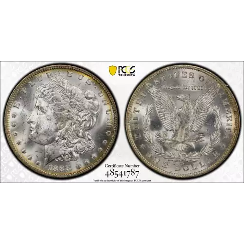 Morgan Silver Dollar (2)