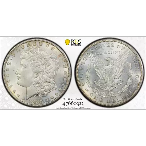 Morgan Silver Dollar (2)