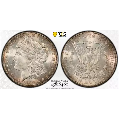 Morgan Silver Dollar (2)
