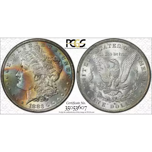 Morgan Silver Dollar (2)