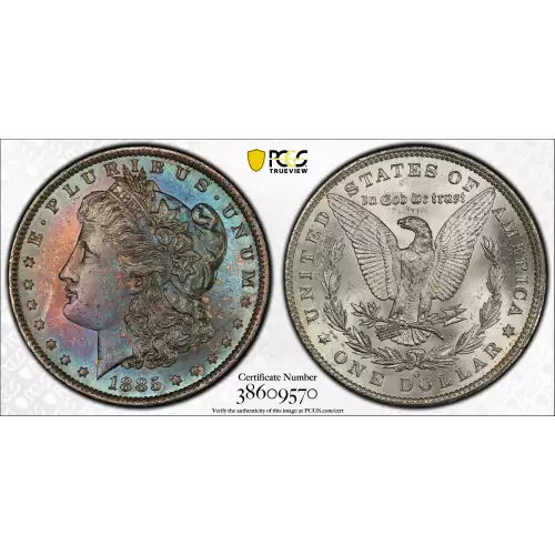Morgan Silver Dollar (2)