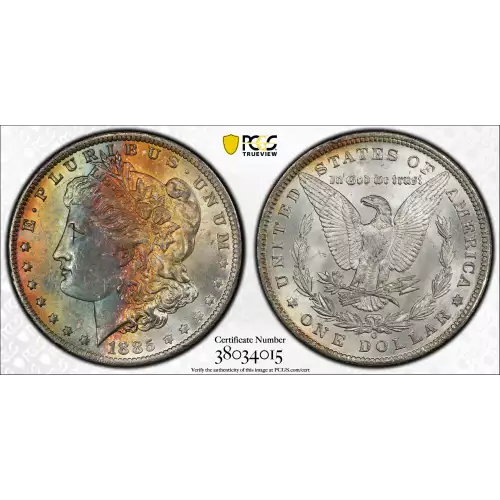 Morgan Silver Dollar (2)
