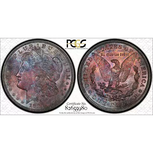 Morgan Silver Dollar (2)