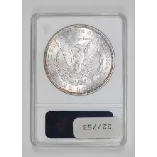 Morgan Silver Dollar (2)